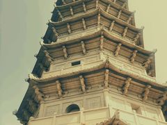 -深圳国际园林花卉博览园