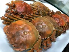 -凯盈阁·顺德私房菜·桑拿鸡