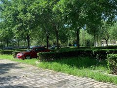 -绿堤公园