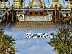 -上海东林寺(金山区)