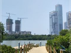 -华侨城湿地公园
