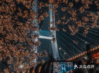不用去日本，在魔都看夜樱也一样很赞！