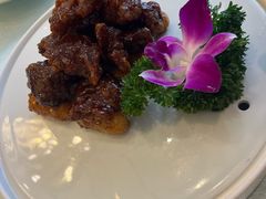 -高老庄新家宴(北斗星广场店)