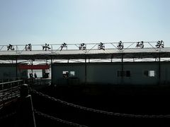 -大湾区中央湿地公园-十九涌