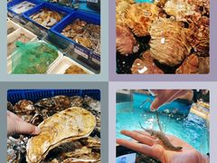 -拉完海鲜大排档(温岭店)
