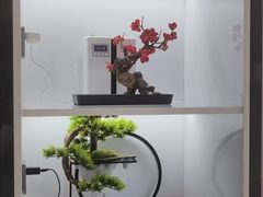 -武氏真功夫(第1店·方中圆店)