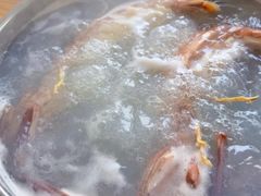 -凯华海鲜火锅·传承三十六年