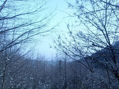 -西湖风景区-江洋畈生态公园