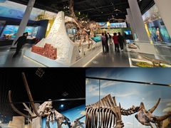 -国家自然博物馆