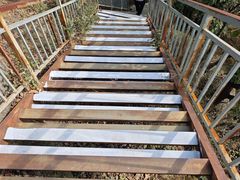 -六里坪国家森林公园