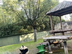 -上海野生动物园