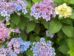 -常州古运河南大街文化旅游区-人民公园