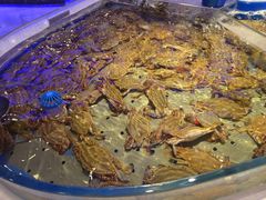 -澜悦港海鲜体验主题餐厅
