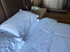 -清水湾酒店(深圳横岗塘坑地铁站店)