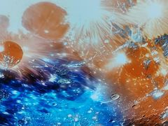 -海底捞火锅(万达广场店)