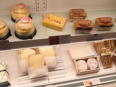 -蒲公英(五里店)