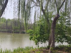 -塘沽森林公园