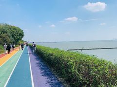 -贡湖湾湿地公园