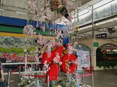 -荷兰花海