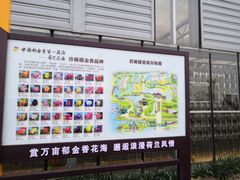 -荷兰花海