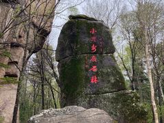 -汤旺河林海奇石景区
