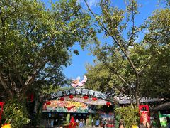 -广州长隆飞鸟乐园