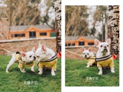 点击看大图 -美薇亭婚礼顾问