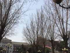 -沈阳药科大学