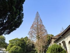 -蒋氏故居