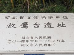 -放鹰台遗址