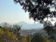 -北京鹫峰国家森林公园