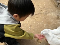 -呀路古热带植物园
