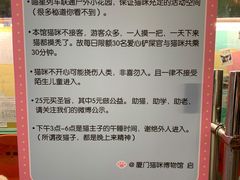 -猫咪博物馆(顶澳仔猫街店)