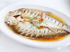 清蒸白鱼-七的湖·晚芳亭·阳澄湖农家菜·大闸蟹(莲花岛店)