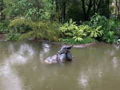 -深圳国际园林花卉博览园