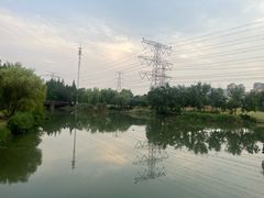 -九里河湿地公园