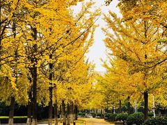 -浙江农林大学(东湖校区)