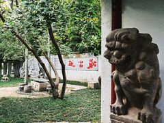 -徐州龟山景区