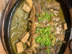 -老板恋上鱼(恒隆广场店)