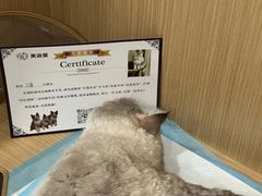 -美迦爱-牙专科·兔科·骨科诊疗中心(北苑店)