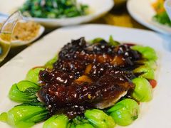 素海参扒菜心-功德林(南京西路店)