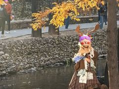 -白水寺森林公园