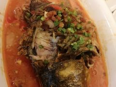 -椿记烧鹅(叠彩店)