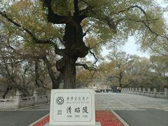 -北陵公园