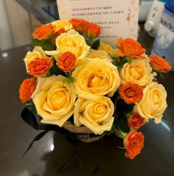 -新寰亚月子会所(盛捷白塘店)