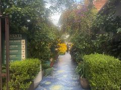 -The Grounds of Alexandria