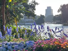 -荔湾湖公园