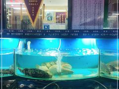 -望海潮海鲜店 特色家常菜(在海一方店)