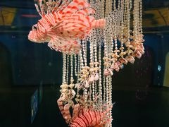 -哈尔滨极地公园