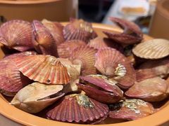 -龍歌自助小火锅(市南金茂湾店)